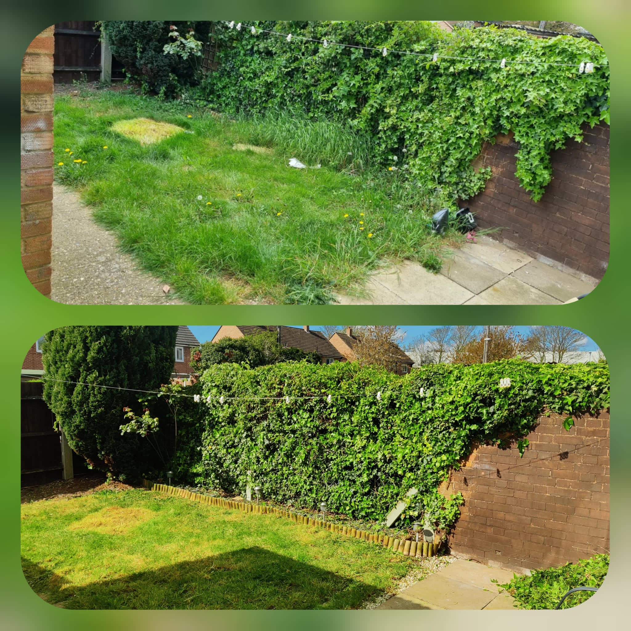 Hedge Trimming in Norwich, Norfolk